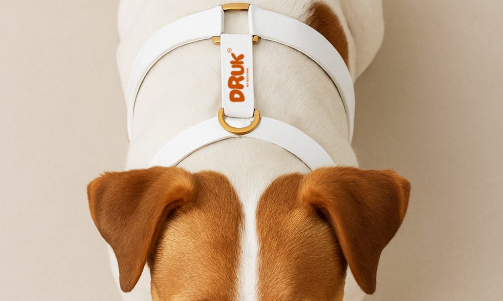 Aufdruck auf Biothane-Hundegeschirren 1