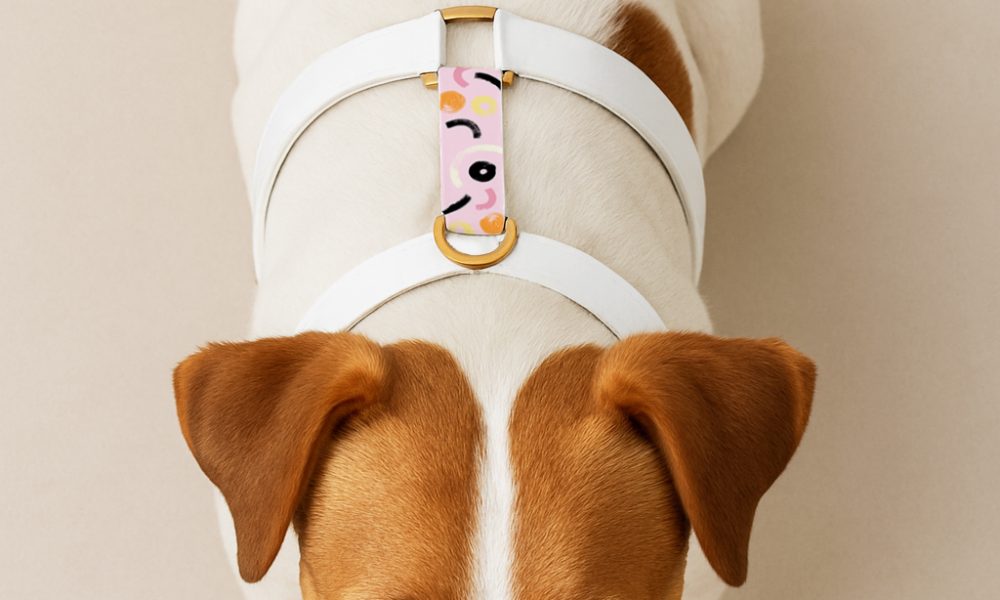 Druck auf BioThane Hundegeschirren 5